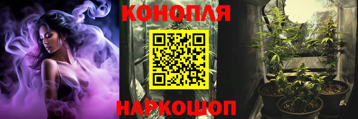 Бошки марихуана планчик Кинель